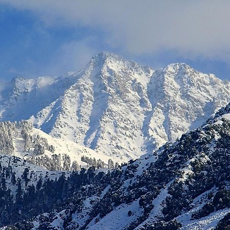 Hotel Bliss Valley Dharamshala - Beautiful View Of Mountains From Rooms Buitenkant foto